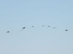 Gripen, MiG-29, Albatros, Delfn, Albatros, MiG-15UTI a Gripen