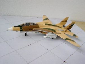 F-14A IIAF
